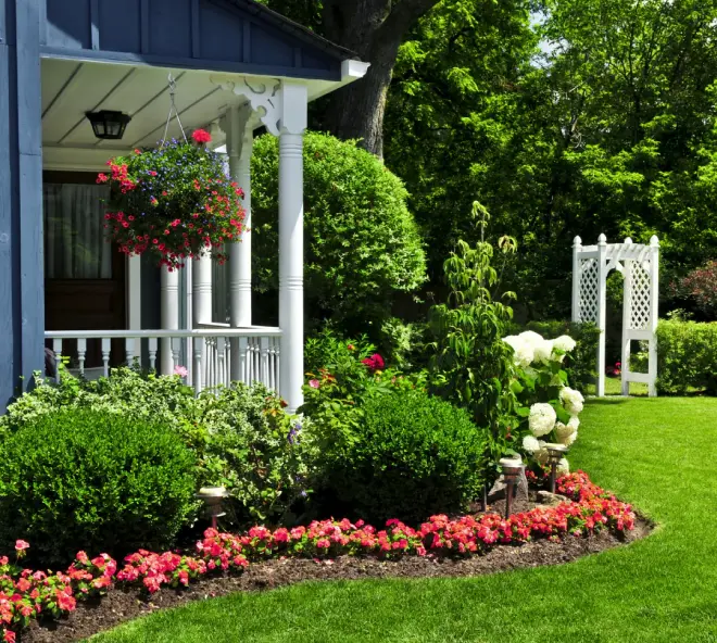 Arbre En Ville Elagueur Saint Malo Entretien De Jardins Arbre En Ville Elagueur Saint Malo Entretien De Jardins