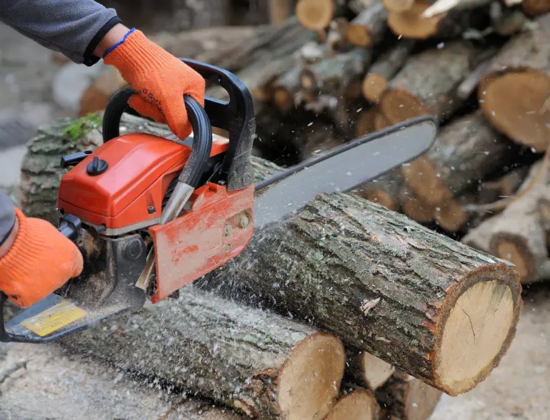 Arbre En Ville Elagueur Saint Malo Elagueur